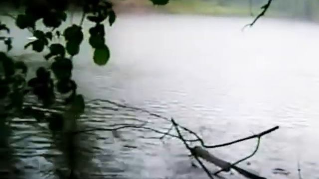 Nature , swans , music, swan story,релакс,природа,музыка,лебеди,гроза смотреть онлайн