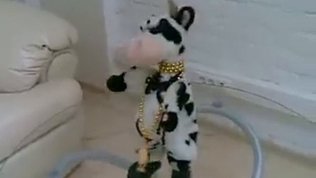 Танцующая корова смотреть онлайн