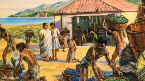 БЫТ ДРЕВНЕГО РИМА | КАК ЖИЛИ ДРЕВНИЕ РИМЛЯНЕ