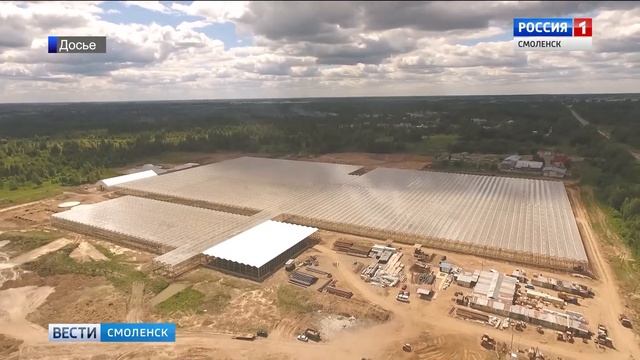 Смоленский тепличный комбинат получит компенсацию затрат из федерального бюджета смотреть онлайн