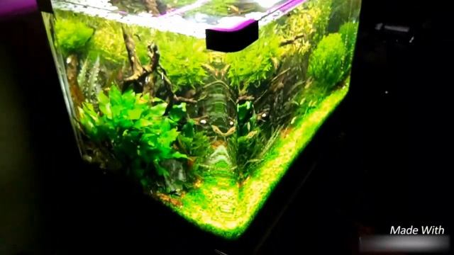 Аквариум Dophin 84 л. смотреть онлайн