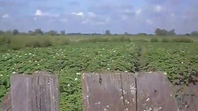 Моя маленькая усадьба смотреть онлайн