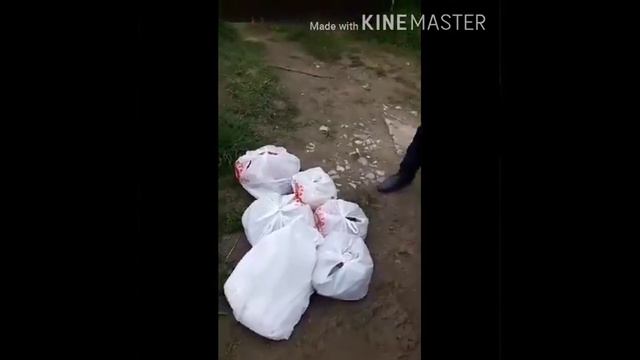 Хайри Хочи бегичон аз Н Рашт🌹🌹🌹🇵🇰🇲🇷 смотреть онлайн