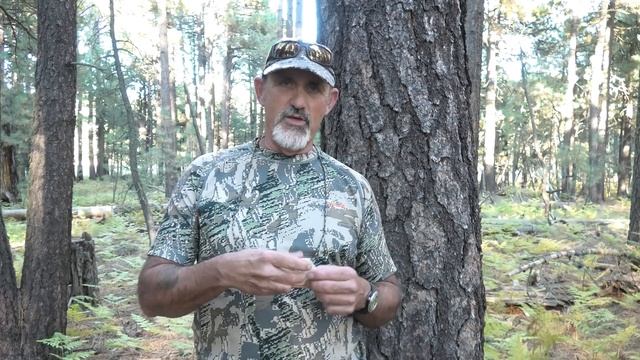 Squirrel Call - Instructional video using the Dominator Game Call смотреть онлайн