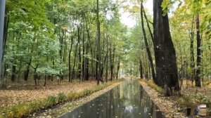 Хирург услышав шум в багажнике нашел странную незнакомку… То, что было дальше, он не забудет никогд