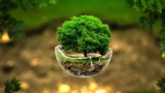 Медитация на заземление смотреть онлайн