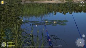 Ловля карпа на оз.Комарином Русская рыбалка 4