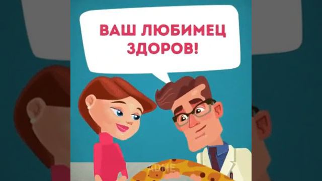 Ложный друг!! смотреть онлайн