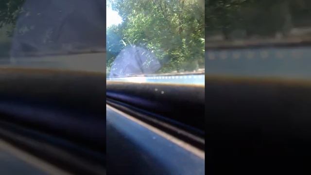 Белоостров----Сестрорецк смотреть онлайн