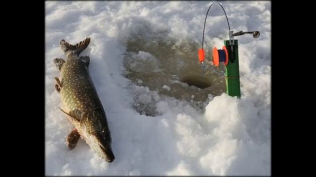 магазин приманок для рыбалки смотреть онлайн