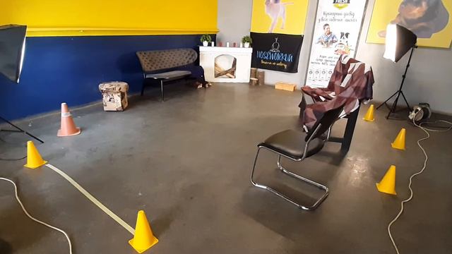 Животовская Наталия и Бурж. Категория Помещение, класс 0 смотреть онлайн