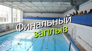 Финальный заплыв - соревнования по плаванию в бассейне "Коралл" г. Омск