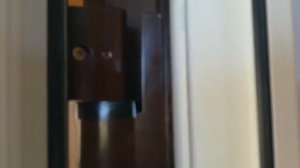 Входная пластиковая дверь - ее плюсы и минусы