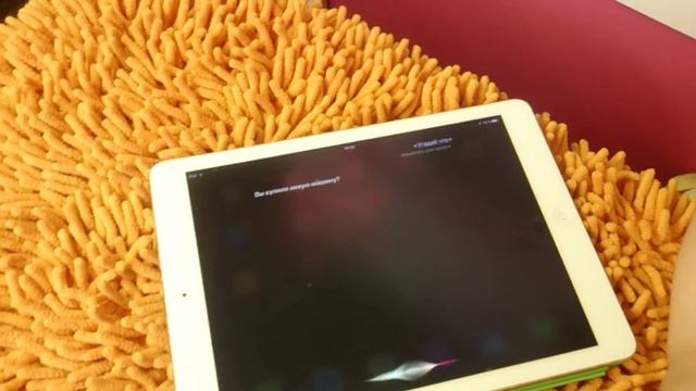 Привет Сири  Говорим с Сири Сири прикол Hi Siri Talking With Siri Siri Funny