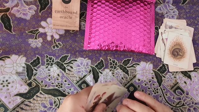 Earthbound oracle & kelly bear pouch смотреть онлайн
