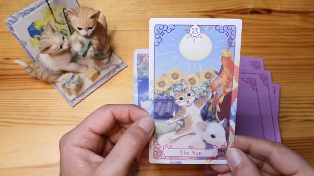 Cat Tarot - Обзор новой Кошачьей колоды Таро с Aliexpress смотреть онлайн