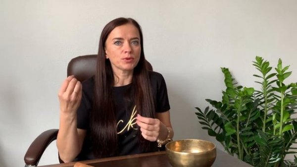 Трансформационная игра Генезис