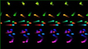 Движущиеся стереокартинки