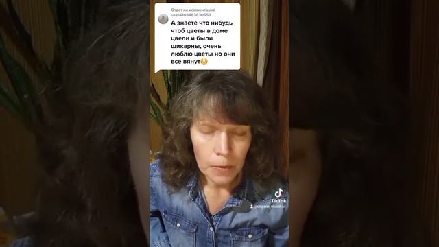 Заговор на домашние цветы. смотреть онлайн