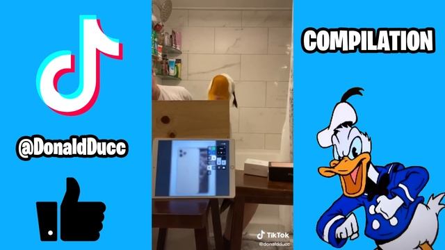 Another 10 Minutes Of Donaldducc TikToks