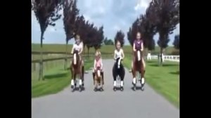 Детская механическая лошадка PONYCYCLE. Понициклы. Пони.