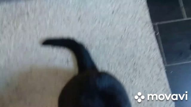 запечённые овощи в духовке с Мамой Отличника смотреть онлайн