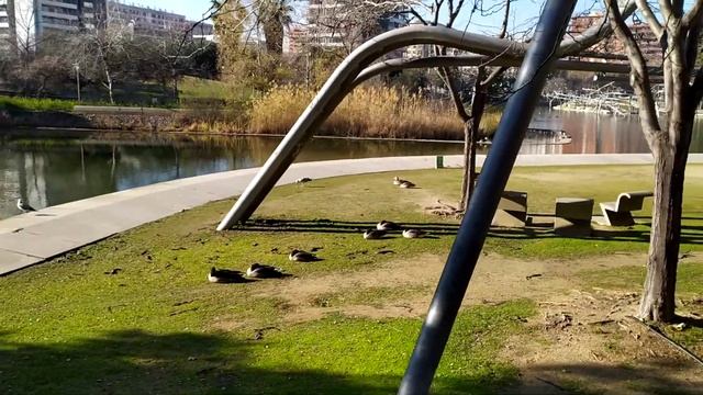 Колыбельная для гусей. смотреть онлайн