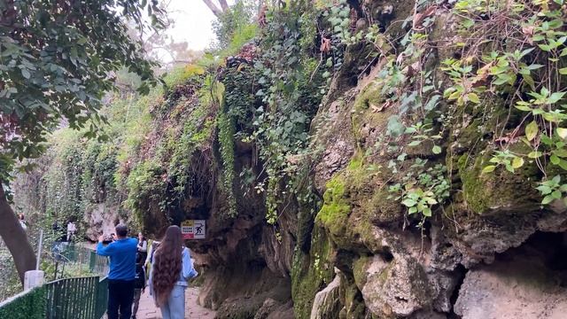 Небольшой, но мощный VLOG: Дюденские водопады смотреть онлайн