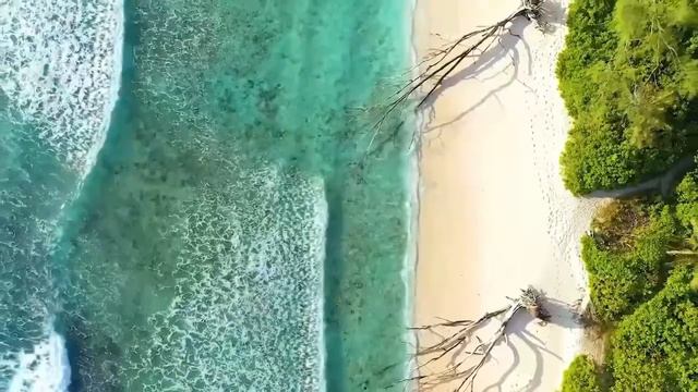 Greatest Oldies Songs Of The 50's 60's And 70's 💽 The Legend Old Music 🔊Elvis, Engelbert, Paul Anka