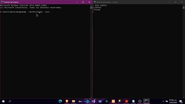 Ejercicio de Respaldo y Restauración en MongoDB смотреть онлайн