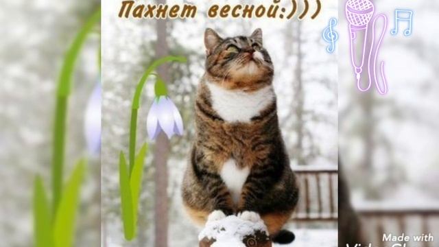 С ПЕРВЫМ ДНЁМ ВЕСНЫ☘??!#весна#поздравления смотреть онлайн