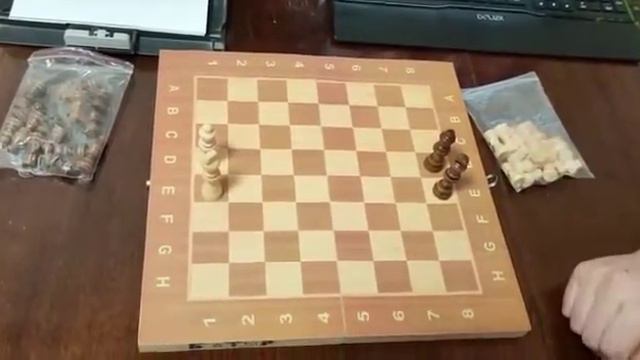 Михалев М Ю Знакомство с шахматными фигурами смотреть онлайн