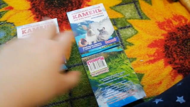 1.Полезные советы в уходе за шиншиллой смотреть онлайн