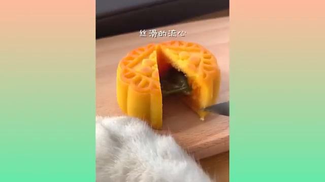 Кот кулинар готовит еду для хозяина ?? смотреть онлайн