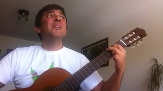 Wonderful life - guitar cover смотреть онлайн