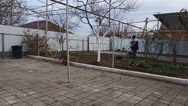 ПЕРЕЕХАЛИ НА КУБАНЬ.ЦВЕТНИКИ ПРОСЯТ ЧИСТОТЫ.ПЕШКОМ ЗА МАНДАРИНАМИ НА СОСЕДНЮЮ УЛИЦУ.