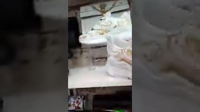Турецкие брендовые сумки и обуви смотреть онлайн
