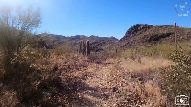 2021-11-29 Organ Pipe Cactus NM, Bull Pasture & Estes Canyon, mex. Grenze смотреть онлайн