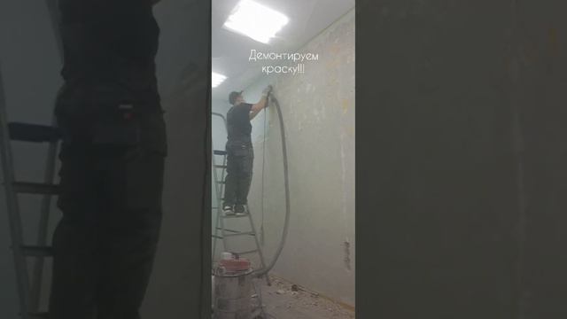 Сняли обои со стен, а там краска!!! Демонтируем краску!!! Салон красоты Шевелюра (Калининград). смотреть онлайн