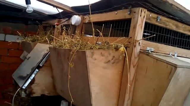 Зимнее укрытие для кроликов на улице ч 1 смотреть онлайн