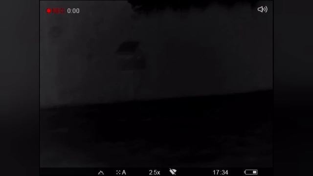 Охота на волка ? в Беларуси ?? Очередной дуплет, на вабу вышло два, двух и добыл