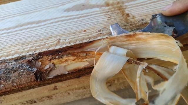 Строительные Премьеры