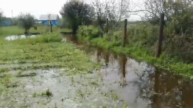 5.08.2021 г. Белогорск. "Городок" смотреть онлайн