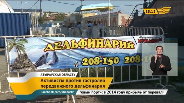 Атырауские активисты против гастролей передвижного дельфинария смотреть онлайн