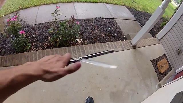 The Flipper's Guide to the Snody Highroller смотреть онлайн
