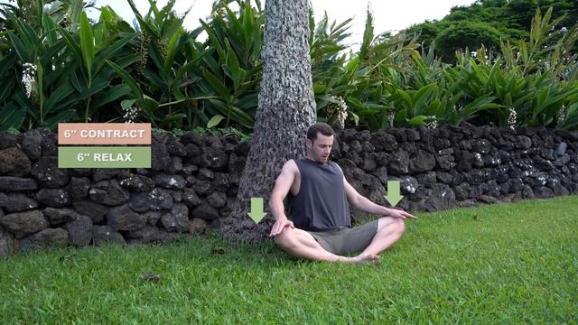 How to do the Splits Fast -- This Technique Changed Everything! -- (Science Based) смотреть онлайн