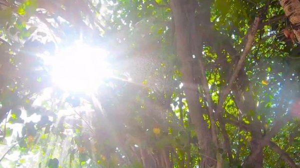 Место на земле где хочется побывать. Узнали острова?