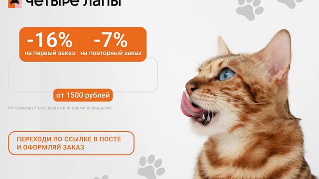 Чтобы Был В Восторге Кот – Ловите Промокод! смотреть онлайн