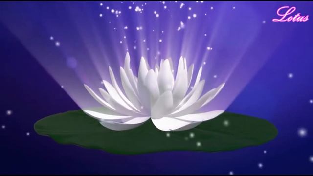 Практика "Внутренний Компас" смотреть онлайн