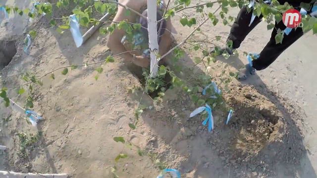 Сулдэ 30.04.2019 смотреть онлайн